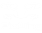 PixWing